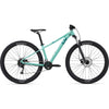 Tempt 2 29er Mountain Bike (2022)