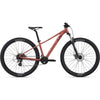 Tempt 4 29er Mountain Bike (2022)